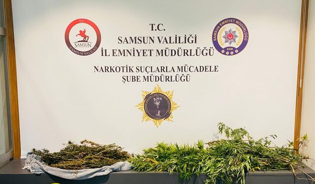 Samsun'da 2 kilo 762 gram esrar ele geçirildi