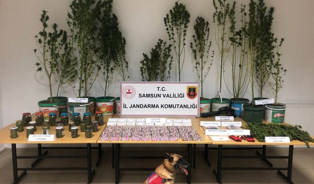 Samsun'da 3 kilo 260 gram esrar ele geçirildi