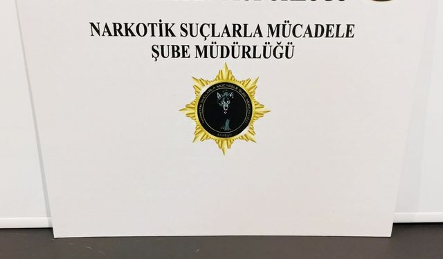 Samsun'da düzenlenen uyuşturucu operasyonunda 17 kişi yakalandı