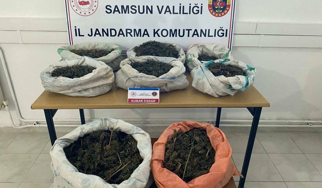 Samsun'da ormanlık alana gizlenmiş 8 kilo 525 gram esrar bulundu