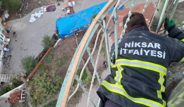 Tokat’ta minareye sıkışan güvercin kurtarıldı