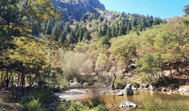 Aygırdibi Mesire Alanı Sonbahar sakinliğinde son misafirlerini ağırlıyor