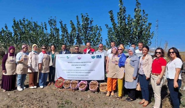 Çorum’da “BizimOra’lı kadınların şifalı safran ve sarımsak projesine OKA desteği