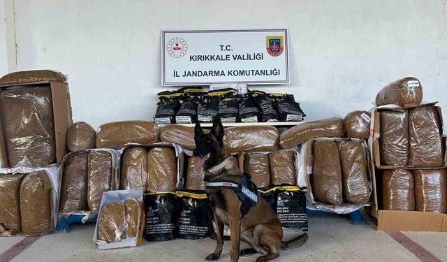 Hassas burun "Alkış" kargo aracında 710 kilogram kaçak tütün buldu