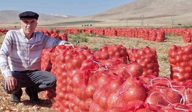 Karaman’da kuru soğan üreticisinin yüzünü güldürüyor