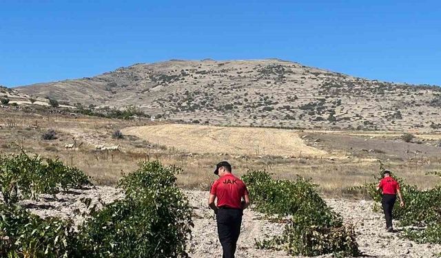 Kaybolan küçükbaş hayvanları JAK buldu