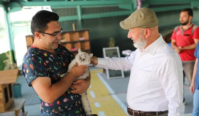 Kayseri’de ilk olan ‘Küçük Dostlar Kedi Kasabası’ ziyaretçi akınına uğruyor