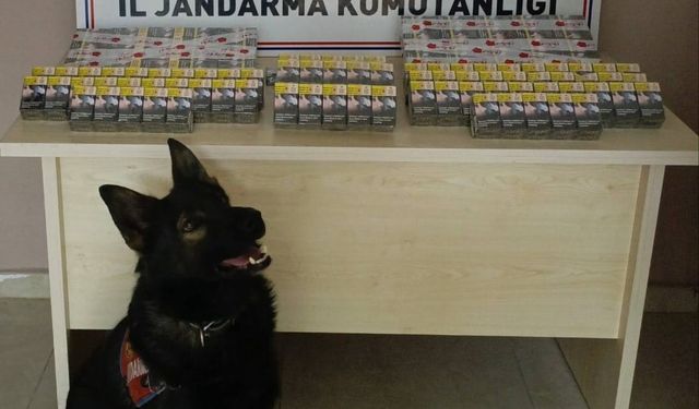 Kontrol için durdurulan kamyonda kaçak sigara yakalandı