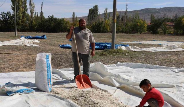 (ÖZEL) Tüccarın fırsatçılığı çiftçiyi mağdur ediyor