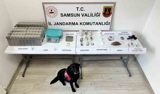 Samsun’da jandarma ekipleri çok sayıda uyuşturucu madde ele geçirdi