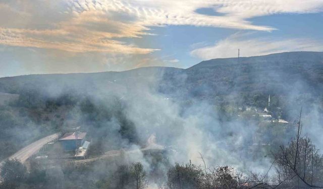 Samsun’da örtü yangını korkuttu