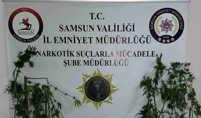 Samsun’da uyuşturucu operasyonu: 2 gözaltı