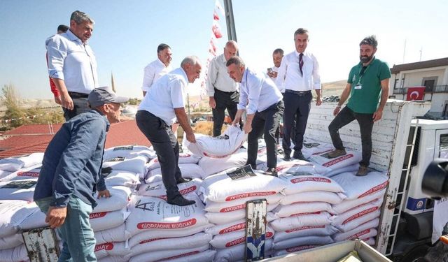 Sincan Belediyesi’nden buğday tohumu desteği