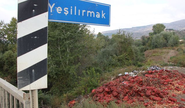 Yeşilırmak Nehri'nin kıyısına çuvallar dolusu soğan ve patlıcan döküldü