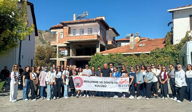 Bu ceviz başka: Oğuzlar’ın meşhur cevizinin sağlık sırları açığa çıkıyor