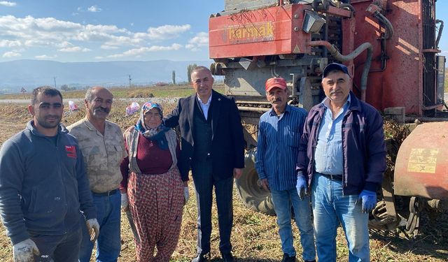 Çiftçinin ‘Kara yılı’: Çorum’da pancar sökümü başladı: üreticiler zarar etti