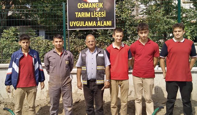 Osmancık'ta tarımın gelişimi için Sera Projesi çalışmalarında son aşamaya gelindi