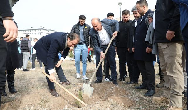 Alaca'da Milli Ağaçlandırma Gününde binlerce fidan toprakla buluştu