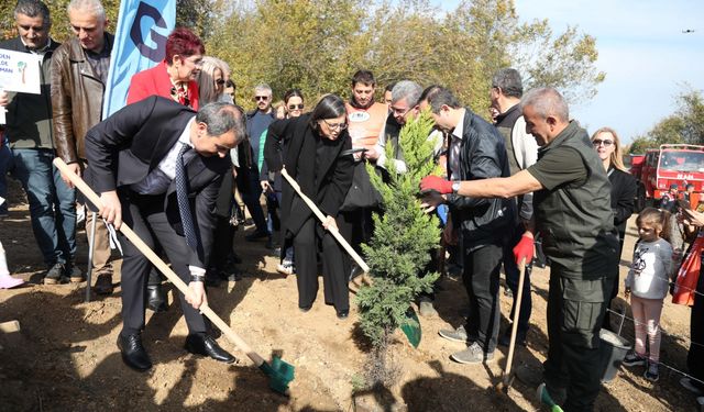 "81 İlde 81 Orman Projesi" kapsamında fidan dikimi Samsun'da başladı