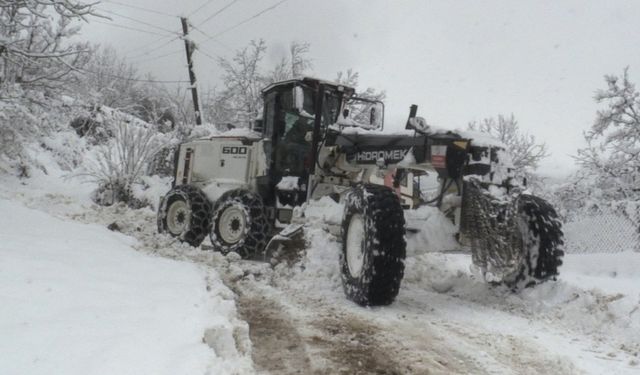 Artvin'de 58 köy yolunu ulaşıma açma çalışmaları devam ediyor