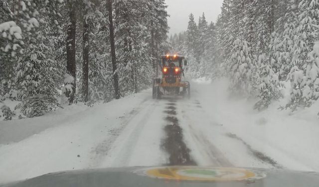 Bolu'da yaylada mahsur kalan 7 kişiyi orman ekipleri kurtardı