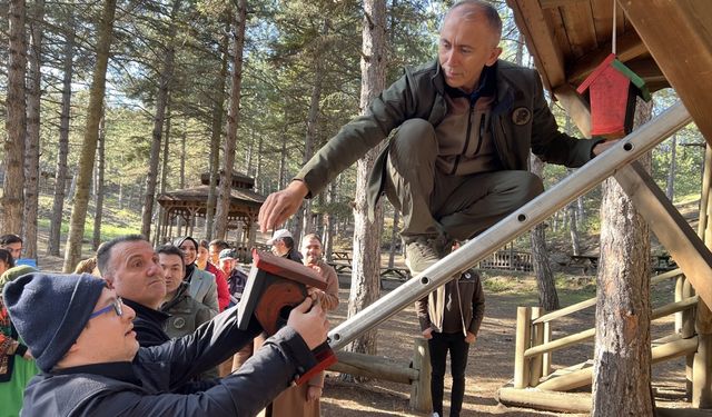 Çorum'da engelli öğrencilerin boyadığı kuş evleri tabiat parkına yerleştirildi