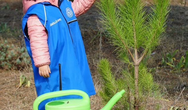 Çorum'un ilçelerinde Milli Ağaçlandırma Günü'nde fidanlar toprakla buluşturuldu