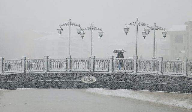 Giresun, Ordu ve Bayburt'ta soğuk hava ve kar etkili oluyor