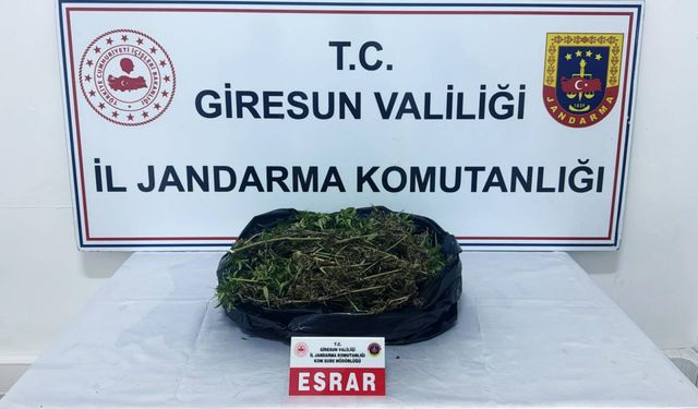 Giresun'da uyuşturucu operasyonunda bir kişi tutuklandı