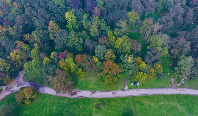 Gölyaka Kültür Park, ziyaretçilerini "sonbaharın tonları" eşliğinde ağırlıyor