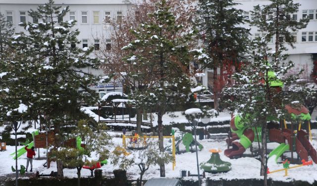 Havza'da kar yağışı etkili oluyor