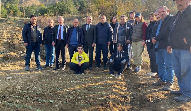 Mecitözü'nde salep fidanları toprakla buluşturuldu