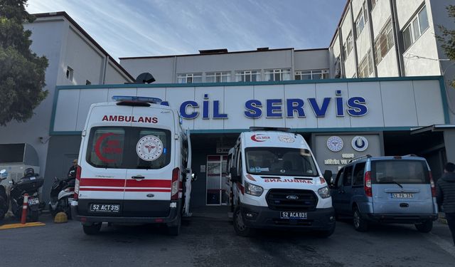 Ordu'da karbonmonoksit gazından zehirlenen 3 kişi tedavi altına alındı