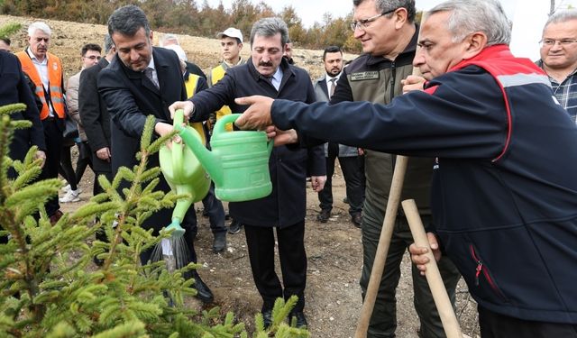 Samsun ve çevre illerde Milli Ağaçlandırma Günü'nde fidanlar toprakla buluştu