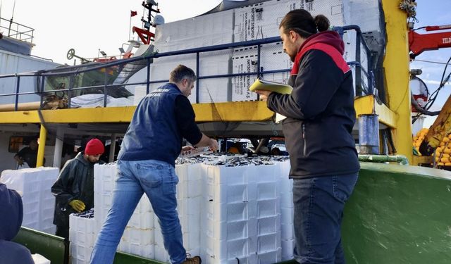 Sürdürülebilir balıkçılık için "küçük boydaki balıkları avlamayın" uyarısı