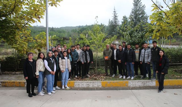 TOGÜ Niksar Meslek Yüksekokulunda ilçede bulunmayan ağaç türleri yetiştiriliyor