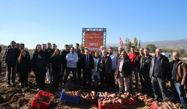 TOGÜ'de tatlı patates hasadı yapıldı