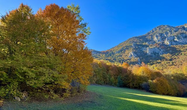 Tokat'ta Çatak Yaylası sonbahar renklerine büründü