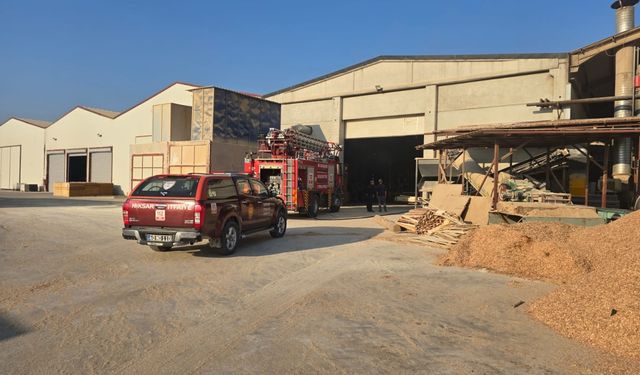 Tokat'ta kereste ve kontrplak fabrikasında çıkan yangın hasara yol açtı