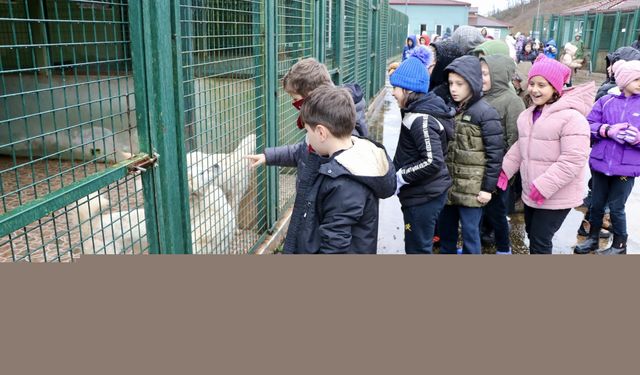 Trabzon'da "iyilik timi"ndeki öğrenciler barınaktaki köpekleri besledi