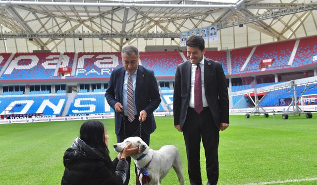 Trabzonspor Kulübü, Fenerbahçe maçı öncesinde sahaya giren köpeği sahiplendi