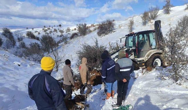 Dağda mahsur kalan hayvanlar kurtarıldı