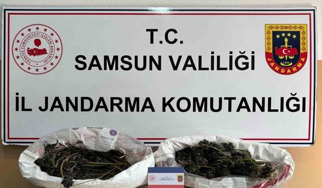 Jandarma 627 gram kubar esrar ele geçirdi