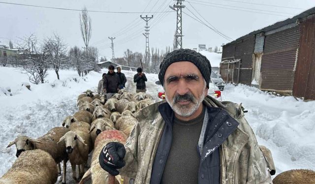 Kara kışa hazırlıksız yakalanan çobanlar yayladan erken indi