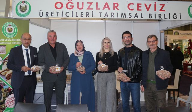 Yeşilin ve bereketin şehri Çorum, Ceviz Fuarı'yla göz kamaştırdı