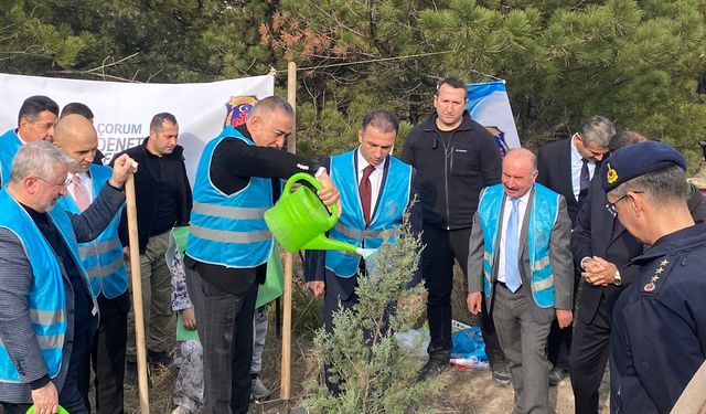 Ormanlar ranta mı kurban ediliyor? Ağaçlandırma Günü'nde Milletvekili Tahtasız'dan çarpıcı açıklamalar