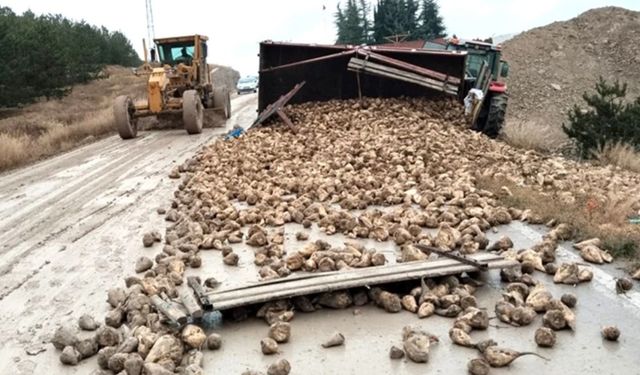 Çorum'da şeker pancarı taşıyan traktör kaza yaptı: Yaralı var!