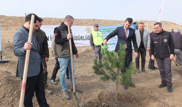 Çorum'un yeşil geleceği için Sungurlu OSB’de bin fidan toprakla buluştu!