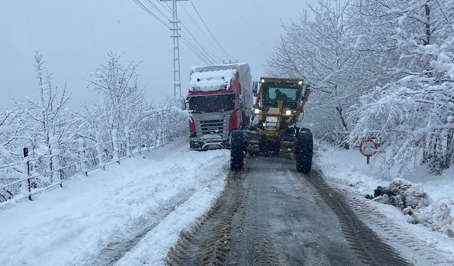 Kumru’da kar esareti! Çorum'dan Ordu'ya giden Tır mahsur kaldı, ekipler seferber oldu