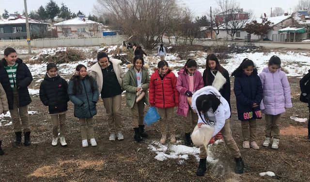 Çorum'da ortaokul öğrencileri kış ayında hayvanlara umut oldu